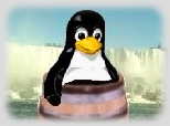 Tux visits the Falls